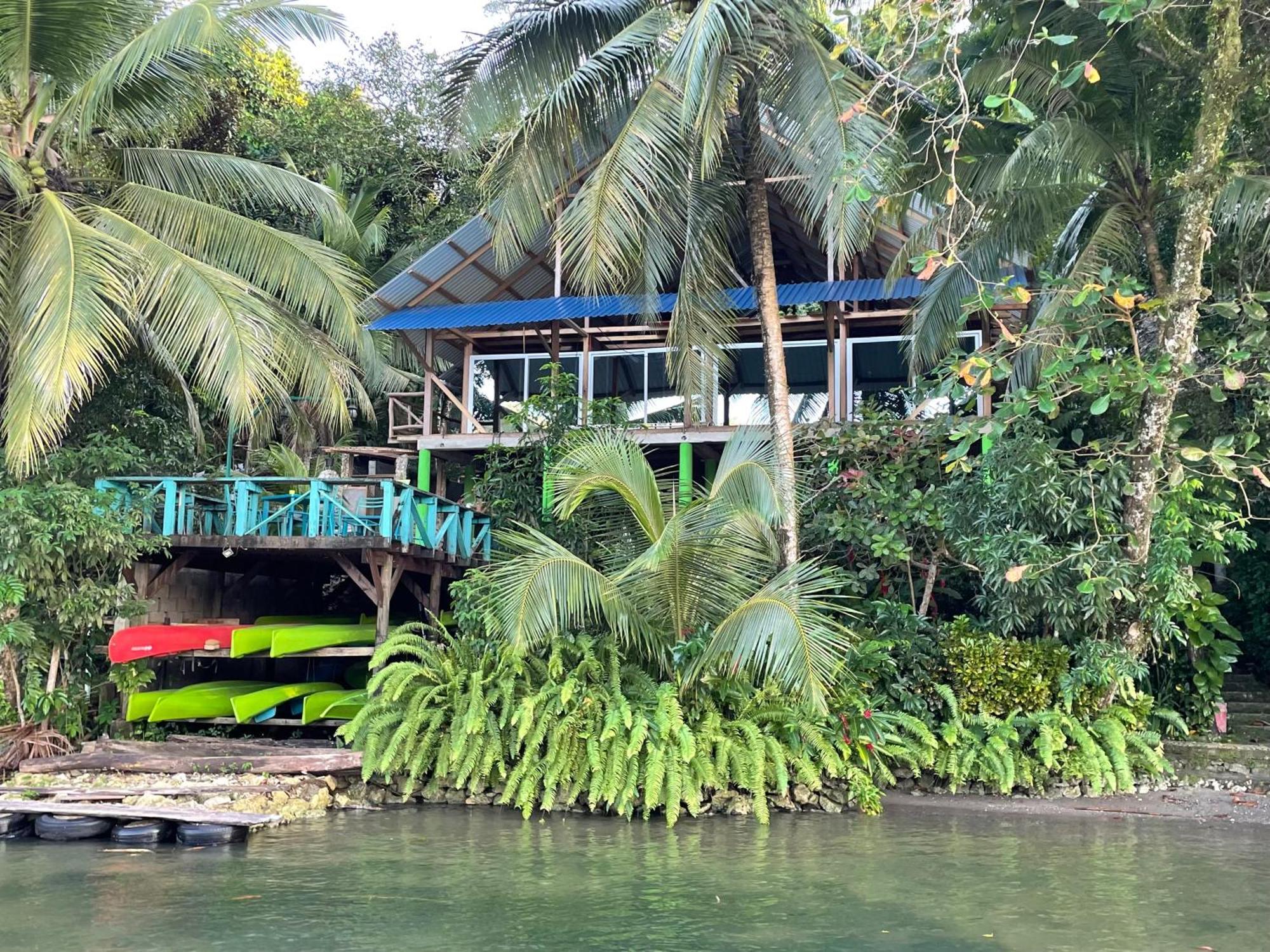 Palmeras Del Rio Hotel La Vina Exterior foto