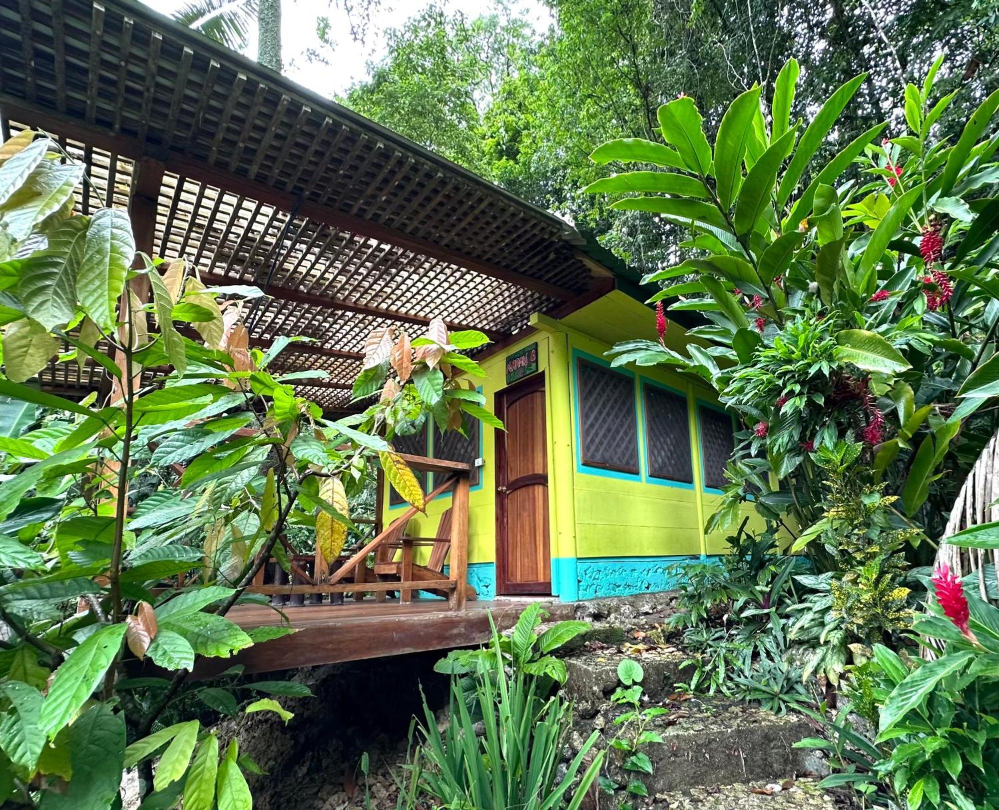 Palmeras Del Rio Hotel La Vina Exterior foto