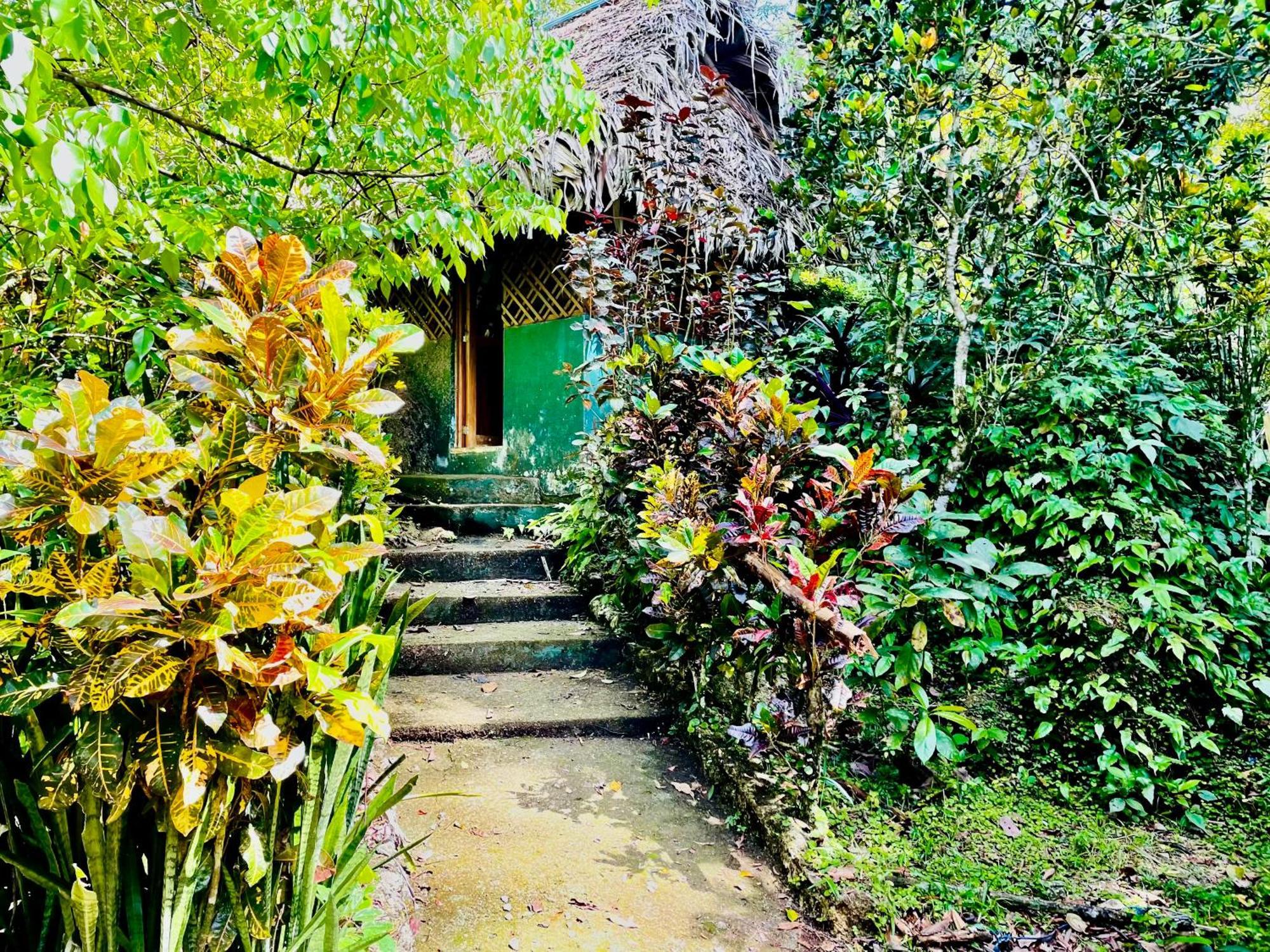 Palmeras Del Rio Hotel La Vina Exterior foto