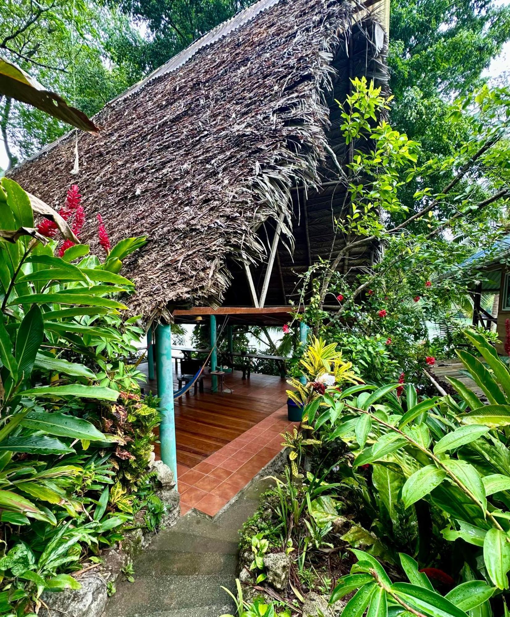 Palmeras Del Rio Hotel La Vina Exterior foto