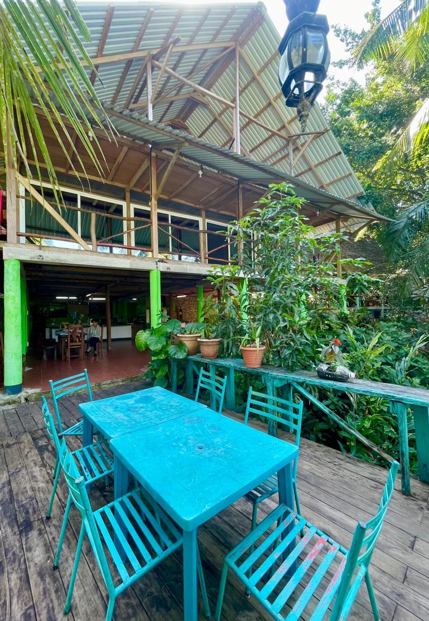Palmeras Del Rio Hotel La Vina Exterior foto